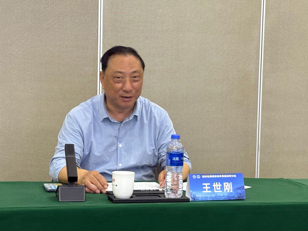 王世刚主持会议